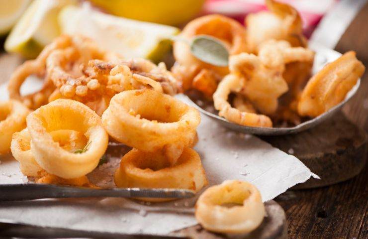 fritto di calamari