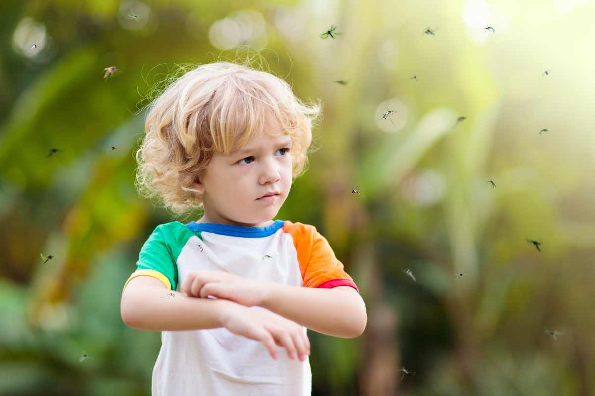 bambino punto dalle zanzare